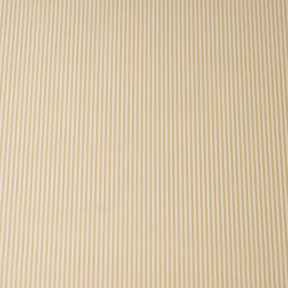 Soyella Beige Popelin Stripes