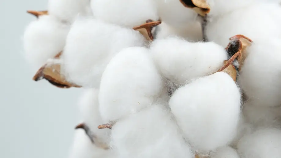 Discover Swiss Heritage and the Finest Fabrics at Intertextile Shanghai