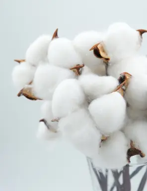 Discover Swiss Heritage and the Finest Fabrics at Intertextile Shanghai
