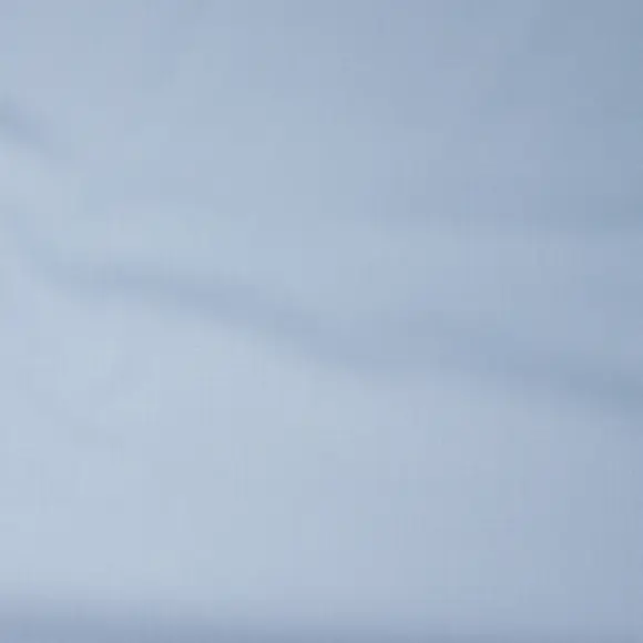 Salvatore Triplo Light Blue Popelin Solid plain 1 - 4