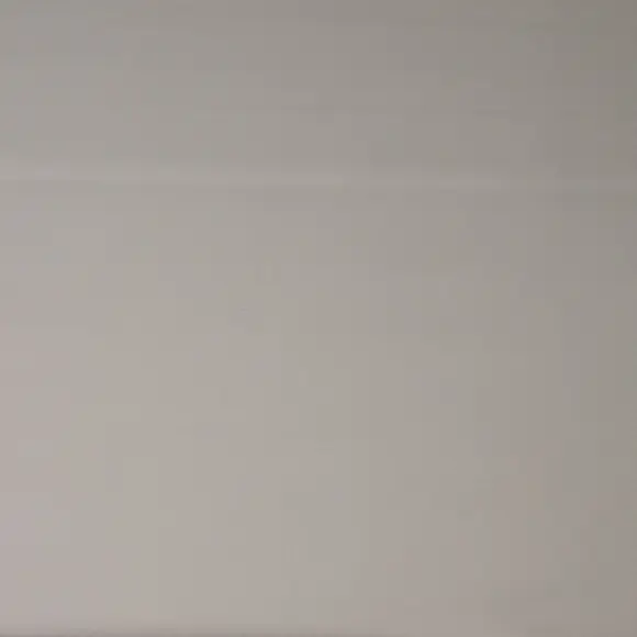 Salvatore Triplo Beige Popelin Solid plain - 4