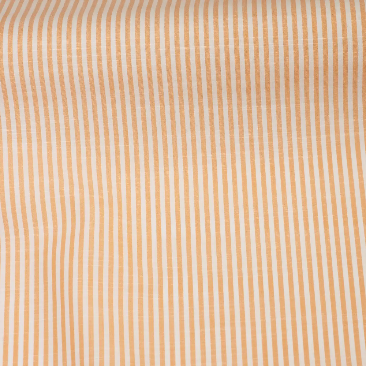 Avellino Orange Popelin Stripes