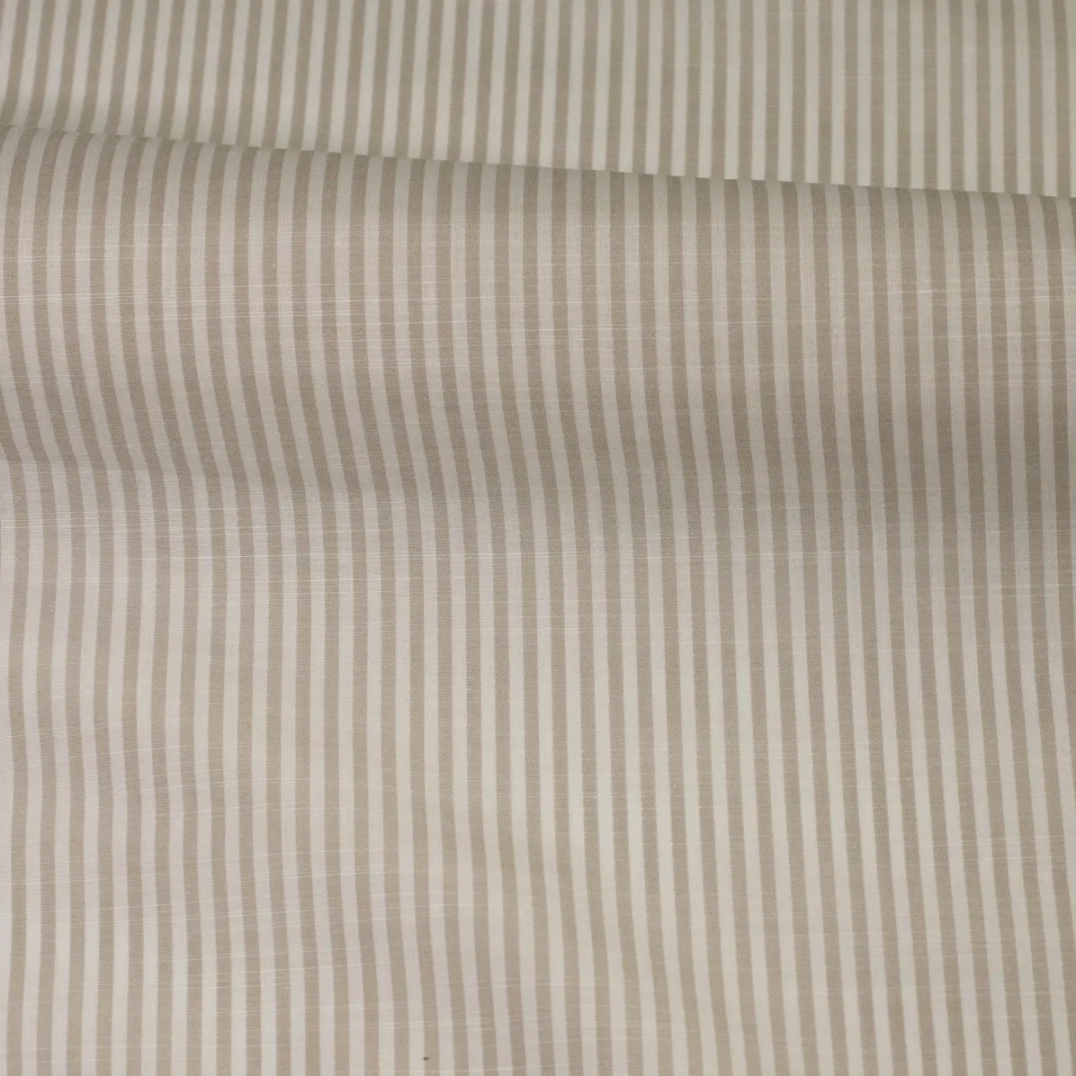 Avellino Grey Popelin Stripes