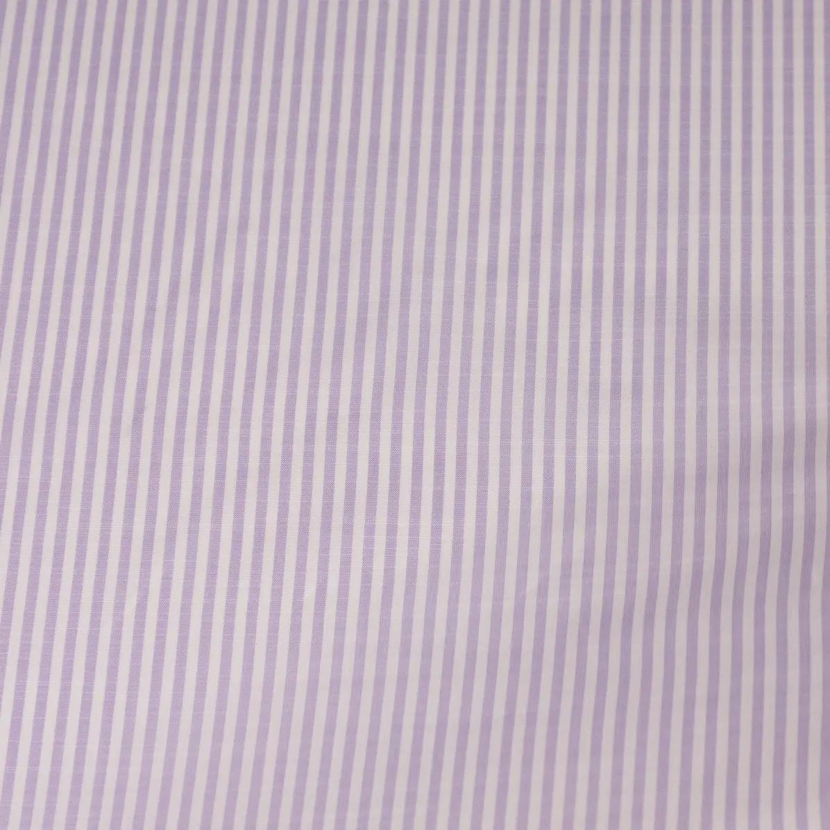 Avellino Lilac Popelin Stripes