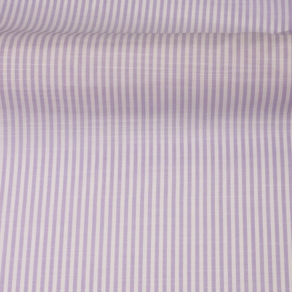 Avellino Lilac Popelin Stripes