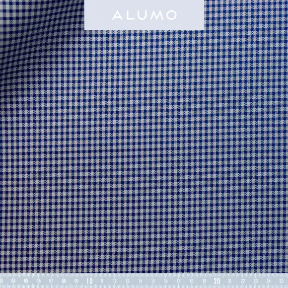 Oxford Medium Blue Oxford Check