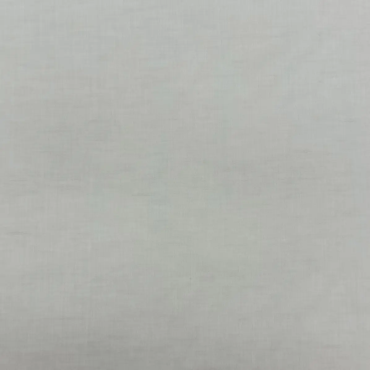 Zephirlino Beige Popelin Solid plain