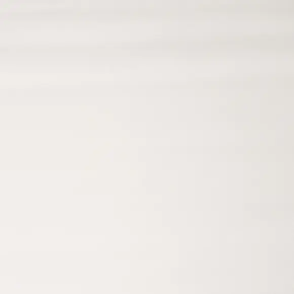 Cashmerello White Twill Solid plain - 4