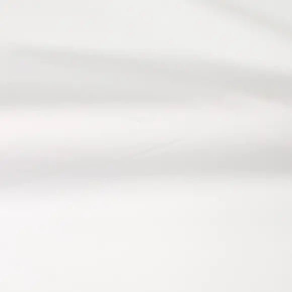 Randa Plus White Popelin Solid plain - 3